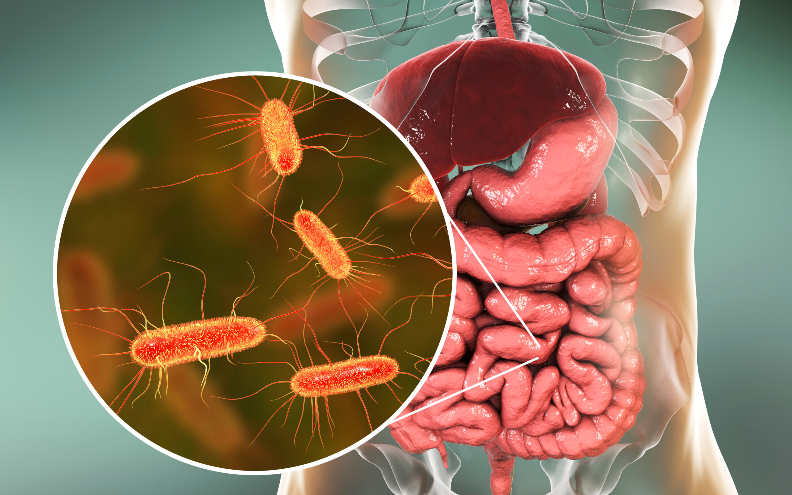 How Long Does E Coli Live On Dry Surfaces